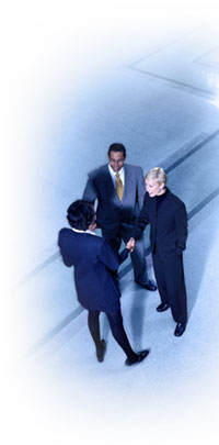 Wealth Capital Group - Process